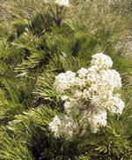 IMG_5769mth.jpg