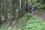 IMG14747mth.jpg